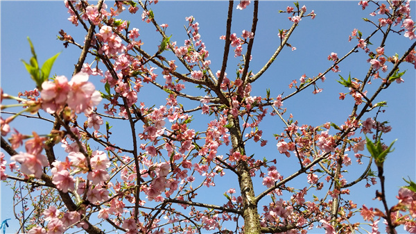 1646961174287261.jpg 1266fd33b889e9381f02788ef32cdf9.jpg