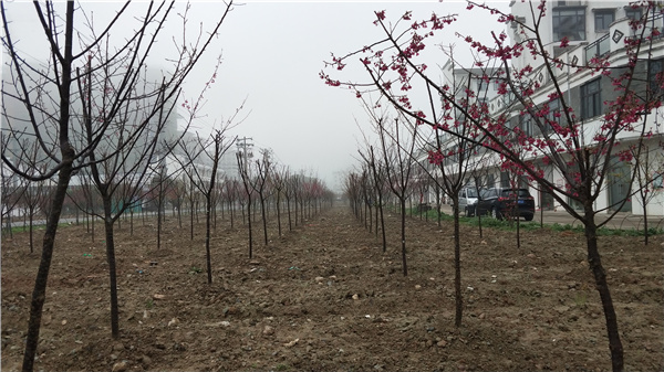 1646961200733856.jpg 276758ecbf09377314020679783aaab.jpg