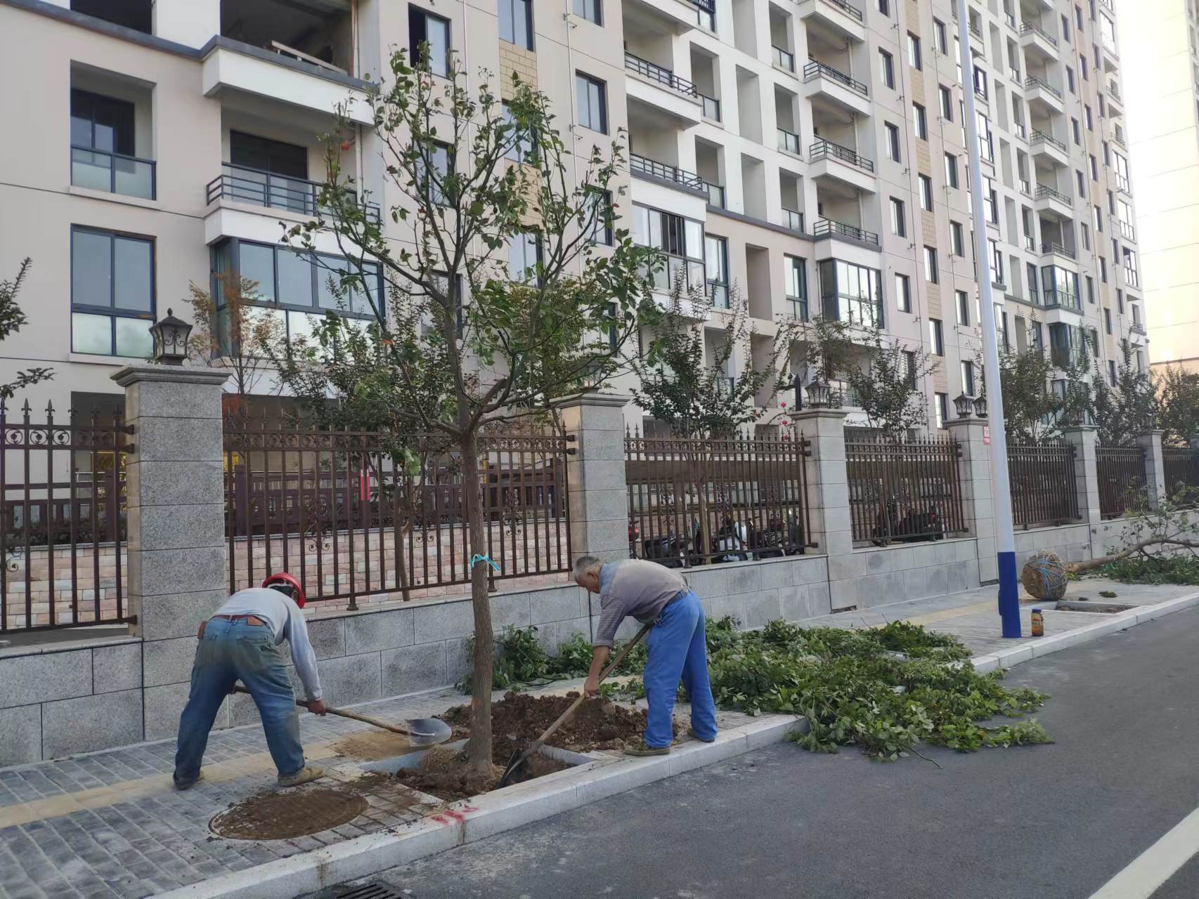 1667957160112736.jpg 扬中路.jpg