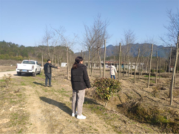 1677204796884073.png 图片1.png