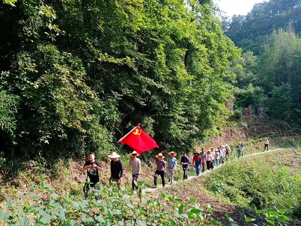 1686883346420981.jpg 6dc50a781ce20b923e6ccb503a0a5b9.jpg