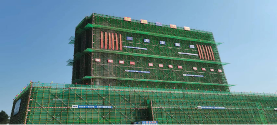 1700035332744053.jpg 1700035308560.jpg