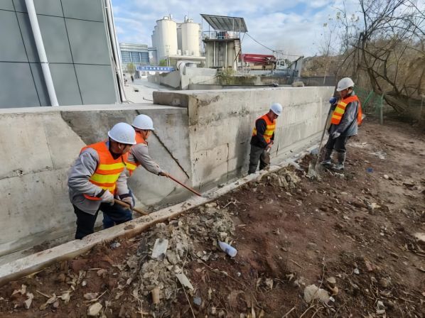 1703233172328183.jpg 2(1).jpg