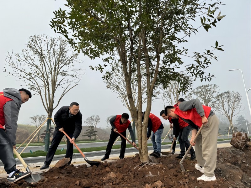 1710232920655708.jpg 1(1).jpg