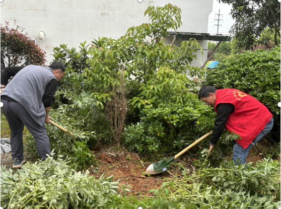 1714380559428072.png image.png