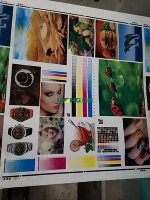 6color high speed Central drum type flexographic printing machine plastic printing machine paper printing machine supplier